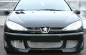 Preview: Frontschürze für Peugeot 206