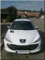 Preview: French Power Scheinwerferblenden Blenden Böser Blick passend für Peugeot 206+