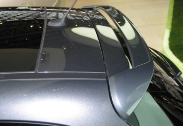 Dachspoiler für Peugeot 207