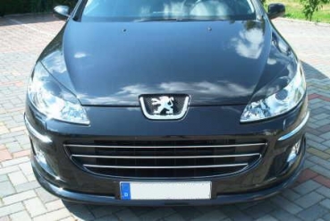 French Power Scheinwerferblenden für Peugeot 407