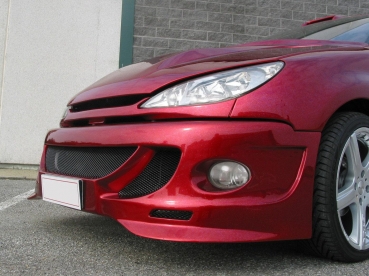 Front Stoßstange vorne Frontschürze passend für Peugeot 206