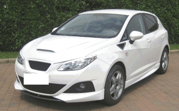 Lufthutze passend für Seat Ibiza 6J 08-01/12