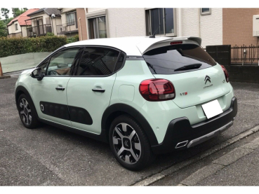 Dachspoiler Heckspoiler Spoiler passend für Citroen C3 2017-2025