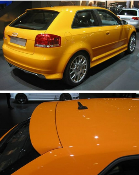 Dachspoiler Heckspoiler Spoiler passend für Audi A3 3trg.